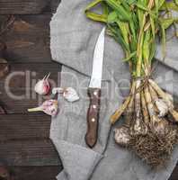 bunch of young garlic and a kitchen knife