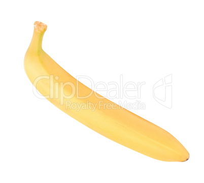 one raw Yellow Banana Isolated at dry sunny day