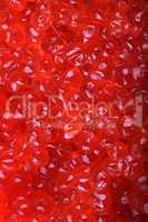 red caviar at dry sunny day day
