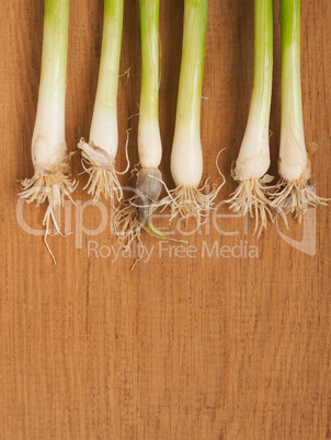 Fresh organic spring onions on wood