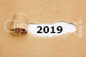 New Year 2019 Ripped Paper Concept