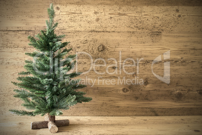 Green Christmas Tree On Brown Rustic Background, Copy Space