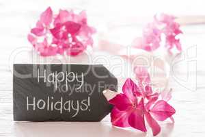 Hydrangea Blossom, Black Sign With Text Happy Holidays