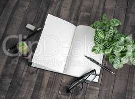 Book, stationery, plants