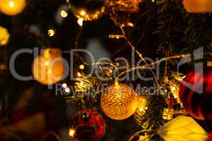 Christmas balls on a pine close-up