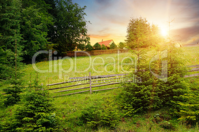 Slopes of the mountains, beautiful spruce and a bright sunset. R