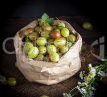 fresh green ripe gooseberry in a brown paper bag