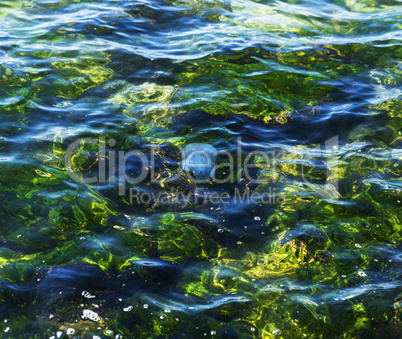surface of the sea of transparent water