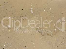 texture of yellow wet sea sand