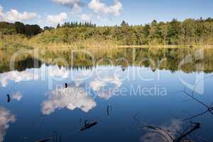 Lake Bøllemosen in Denmark