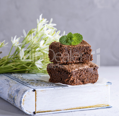 two square pieces of chocolate brownie pie