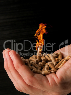 Wooden pellets with a flame