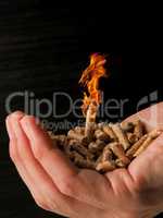 Wooden pellets with a flame