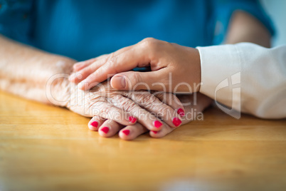 Younger Female Hands Holding Senior Adult Woman Hands