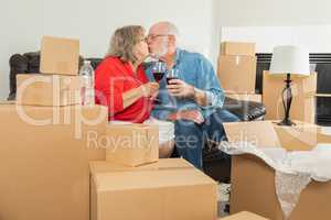 Senior Adult Couple Toasting Wine Glasses Surrounded By Moving B