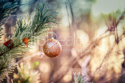 Christmas ball hanging on a pine tree