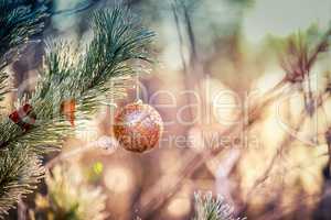 Christmas ball hanging on a pine tree