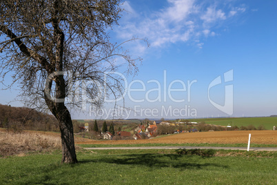 Spring landscape. Spring landscape with a tree.