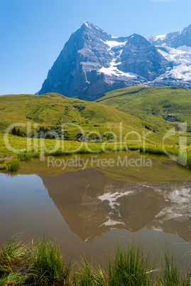 the stunning Alpine panorama of the Northern wall of the Eiger peak is reflected in a small mountain lake. Grindelwald Bernese Alps Switzerland Europe