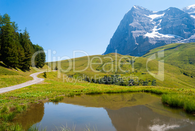 the stunning Alpine panorama of the Northern wall of the Eiger peak is reflected in a small mountain lake. Grindelwald Bernese Alps Switzerland Europe