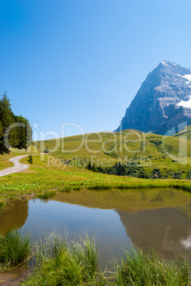 the stunning Alpine panorama of the Northern wall of the Eiger peak is reflected in a small mountain lake. Grindelwald Bernese Alps Switzerland Europe