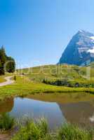 the stunning Alpine panorama of the Northern wall of the Eiger peak is reflected in a small mountain lake. Grindelwald Bernese Alps Switzerland Europe