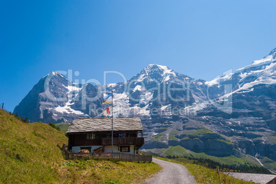 beautiful summer mountain landscape with views of Eiger peak. Bernese Oberland, Switzerland