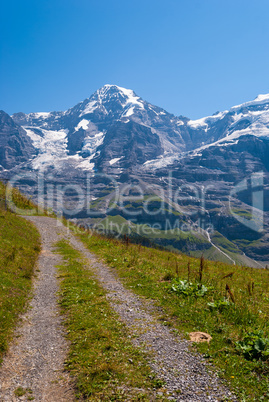 beautiful summer mountain landscape with a view of the peak of the Monch. Bernese Oberland, Switzerland