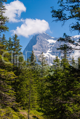 beautiful summer mountain landscape with views of Eiger peak. Bernese Oberland, Switzerland