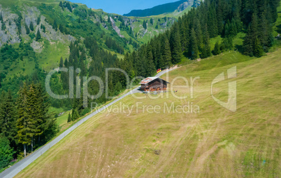 Typical Swiss chalets, Alpine forest trees and sloping meadows complete the picture