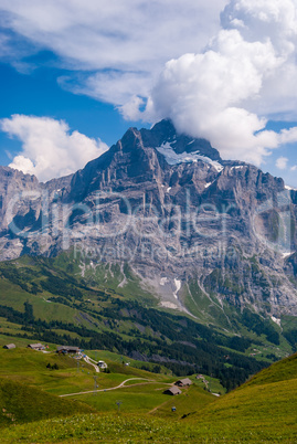 Beautiful Alpine landscape with peak of wetterhorn, Grindelwald, Bernese Oberland, Switzerland, Europe