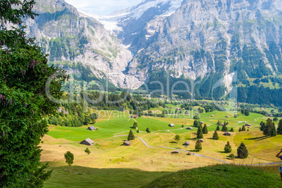 Landscape with mountain village in summer, Grindelwald, Switzerland