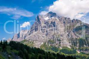 Beautiful Alpine landscape with peak of wetterhorn, Grindelwald, Bernese Oberland, Switzerland, Europe