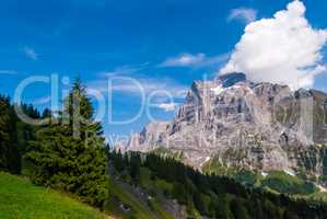 Beautiful Alpine landscape with peak of wetterhorn, Grindelwald, Bernese Oberland, Switzerland, Europe