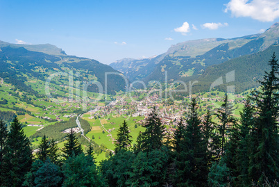 Walk in the Swiss Alps in summer with beautiful views of the Grindelwald