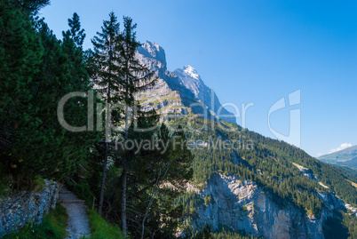 Hiking trail in the Swiss Alps in summer overlooking the Eastern slopes of the Eiger peak