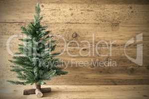Green Christmas Tree On Brown Rustic Wooden Background