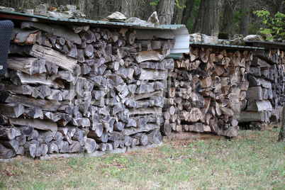 Woodpile on the edge of the forest