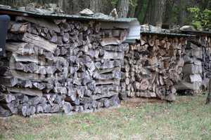 Woodpile on the edge of the forest