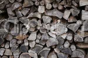 Woodpile on the edge of the forest