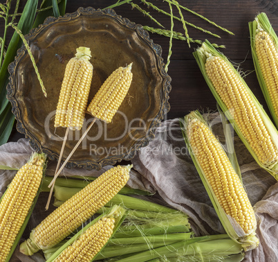 raw ripe corn cobs in a round copper plate on a wooden table