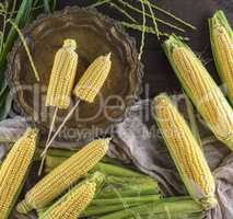 raw ripe corn cobs in a round copper plate on a wooden table
