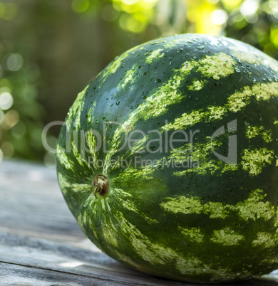 whole green watermelon on a wooden table