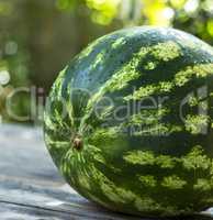 whole green watermelon on a wooden table