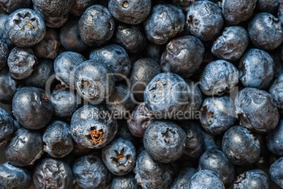 Ripe Blueberries Close Up background