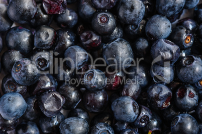 Blueberries horizontal background