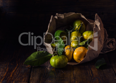 Still Life with Tangerines