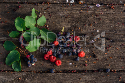 Fresh and ripe shadberry, raspberry with branch, leaves on wooden table