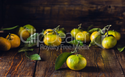 Tangerines with Leaves