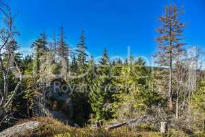 Weissmainsfelsen Felsblöcke im Fichtelgebirge Ochsenkopf